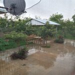 Kirayə (günlük) 3 otaqlı Həyət evi/villa İsmayıllı 14