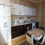 Kirayə (aylıq) 4 otaqlı Yeni Tikili, Nəriman Nərimanov metrosu, Nərimanov rayonu 8