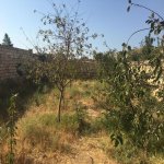 Satılır 6 otaqlı Bağ evi, Novxanı, Abşeron rayonu 14