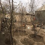 Satılır 3 otaqlı Həyət evi/villa Gəncə 7