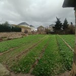 Продажа Участок, Бузовна, Хязяр район 3