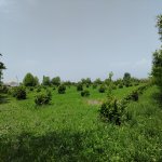 Satılır Torpaq Oğuz 4