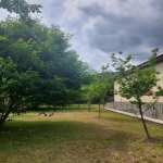 Kirayə (günlük) 4 otaqlı Həyət evi/villa Qəbələ 7