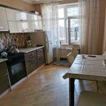 Kirayə (aylıq) 2 otaqlı Yeni Tikili, Nizami metrosu, Nəsimi rayonu 6