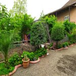 Kirayə (günlük) 3 otaqlı Həyət evi/villa Lənkəran 5