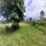 Kirayə (günlük) 2 otaqlı Həyət evi/villa İsmayıllı 11