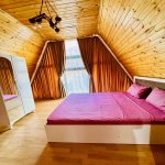 Kirayə (günlük) 5 otaqlı Həyət evi/villa Qəbələ 25