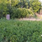 Satılır Torpaq Şamaxı 16