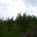 Продажа Участок Гусар 3