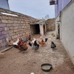 Satılır 5 otaqlı Həyət evi/villa, Masazır, Abşeron rayonu 10