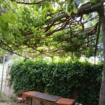 Satılır 3 otaqlı Həyət evi/villa Sumqayıt 7