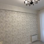 Kirayə (aylıq) 2 otaqlı Yeni Tikili, Səbail rayonu 14