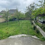 Kirayə (günlük) 4 otaqlı Həyət evi/villa Qəbələ 6