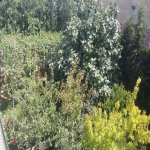 Satılır 6 otaqlı Həyət evi/villa, Mərdəkan, Xəzər rayonu 16