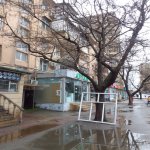 Kirayə (aylıq) 1 otaqlı Köhnə Tikili, İnşaatçılar metrosu, Yasamal rayonu 8