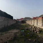 Satılır Torpaq, Mərdəkan, Xəzər rayonu 4