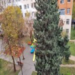 Kirayə (aylıq) 2 otaqlı Köhnə Tikili, Memar Əcəmi metrosu, 4-cü mikrorayon, Nəsimi rayonu 12