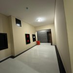 Kirayə (aylıq) 2 otaqlı Yeni Tikili, Gənclik metrosu, Nəsimi rayonu 14
