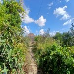 Продажа Участок, пос. Маштага, Сабунчу район 3