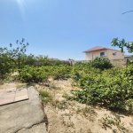 Satılır Torpaq, Saray, Abşeron rayonu 3