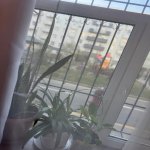 Продажа 2 комнат Новостройка, пос. Говсан, Сураханы район 10