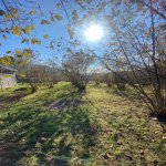 Продажа Участок Гябяля 7