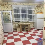 Kirayə (aylıq) 1 otaqlı Yeni Tikili, Memar Əcəmi metrosu, Binəqədi rayonu 4