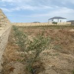 Продажа Участок, пос. Нардаран, Sea Breeze, Сабунчу район 10