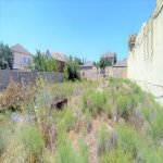 Satılır Torpaq, Şağan, Xəzər rayonu 4