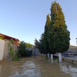 Kirayə (aylıq) 4 otaqlı Bağ evi, Şüvəlan, Xəzər rayonu 7