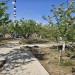 Satılır 5 otaqlı Həyət evi/villa, Mehdiabad, Abşeron rayonu 5