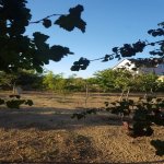 Satılır Torpaq, Abşeron rayonu 11