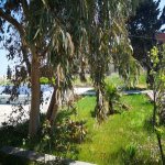 Kirayə (aylıq) 7 otaqlı Bağ evi, Novxanı, Abşeron rayonu 14