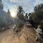 Продажа Участок, Шювалан, Хязяр район 4