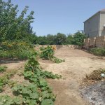 Продажа Участок, Мехдиабад, Абшерон район 6