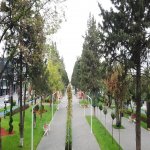 Satılır 3 otaqlı Köhnə Tikili, Gənclik metrosu, Nərimanov rayonu 5