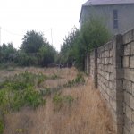 Satılır 2 otaqlı Bağ evi, Saray, Abşeron rayonu 2