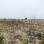 Satılır 4 otaqlı Bağ evi, Sabunçu rayonu 20