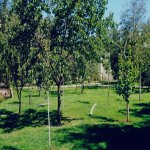 Kirayə (günlük) 5 otaqlı Bağ evi, Novxanı, Abşeron rayonu 2