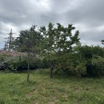 Satılır Torpaq Lənkəran 15