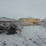 Kirayə (günlük) 3 otaqlı Həyət evi/villa İsmayıllı 5