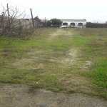 Satılır 4 otaqlı Bağ evi, Goradil, Abşeron rayonu 19