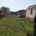 Satılır Torpaq, Qaraçuxur qəs., Suraxanı rayonu 1