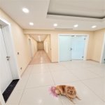 Kirayə (aylıq) 4 otaqlı Yeni Tikili, Səbail rayonu 26
