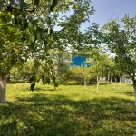 Посуточно 3 комнатная Дома/Виллы Исмаиллы 5