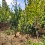 Satılır 4 otaqlı Həyət evi/villa, Saray, Abşeron rayonu 8