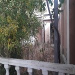 Satılır Torpaq, Masazır, Abşeron rayonu 1