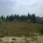 Satılır Torpaq, Maştağa qəs., Sabunçu rayonu 5