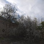 Satılır Torpaq, Avtovağzal metrosu, Sulutəpə qəs., Binəqədi rayonu 6