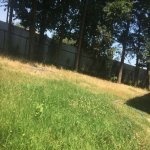 Kirayə (günlük) 4 otaqlı Həyət evi/villa Lənkəran 3